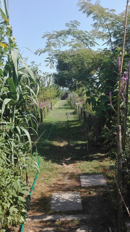 Farm Stay Lackovic Bilje Exterior foto